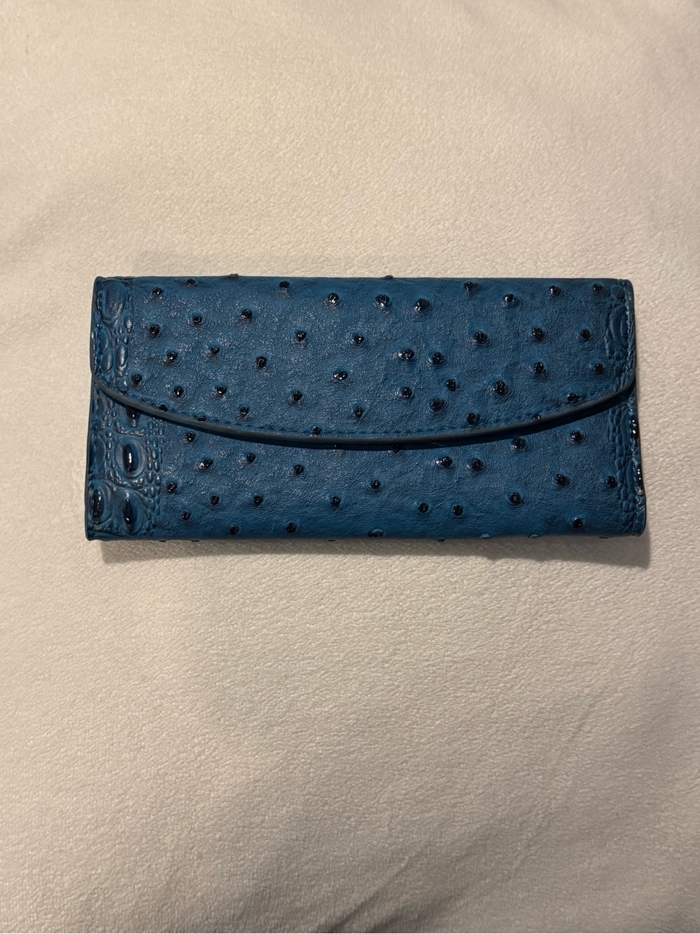 Blue Ostrich-Texture Foldover Wallet - Women's Clutch